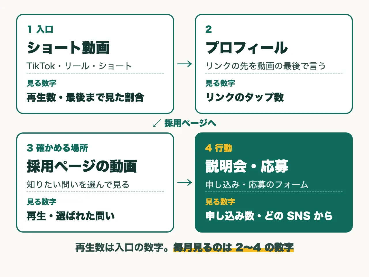 ショート動画、プロフィール、採用ページの動画、説明会・応募の 4 段の流れと、各段で見る数字(再生数と最後まで見た割合、リンクのタップ数、採用ページの動画の再生と選ばれた問い、申し込み数とどの SNS から来たか)